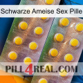 Black Ant Sex Pill new10